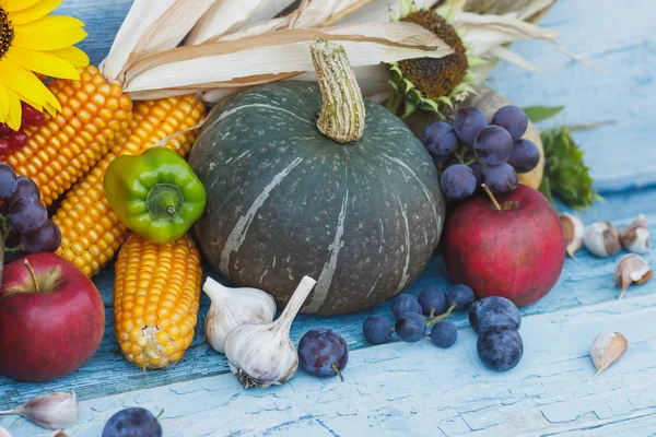 Sütőtök, a kukorica és a különböző érett zöldségek és a gyümölcsök — Stock Fotó