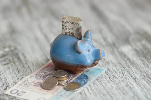 Poolse zloty en piggy bank op de houten achtergrond — Stockfoto