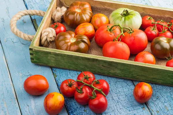 Conjunto de diferentes tipos de tomates maduros en la bandeja de madera — Foto de Stock
