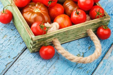 Ahşap tepsi içinde farklı olgun domates kümesi