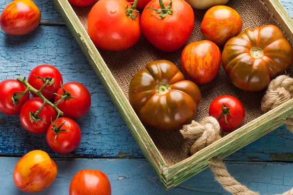 Set de diferentes tomates maduros en la bandeja de madera — Foto de Stock