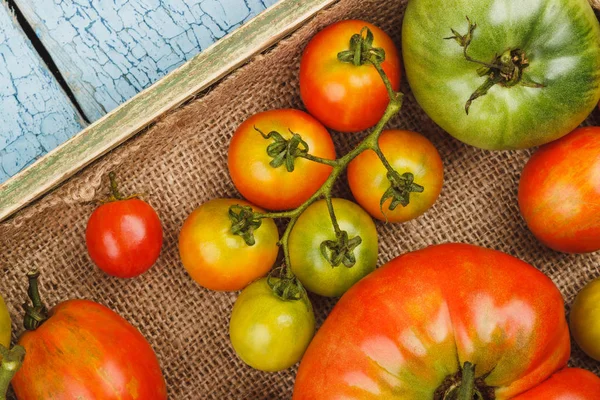 Set de tomates maduros en bandeja de madera, fondo de madera — Foto de Stock