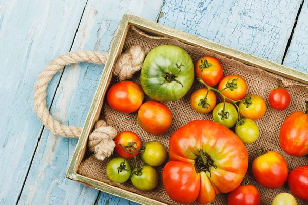 Set de tomates maduros en bandeja de madera, fondo de madera — Foto de Stock