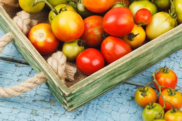 Set de tomates maduros en bandeja de madera, fondo de madera — Foto de Stock