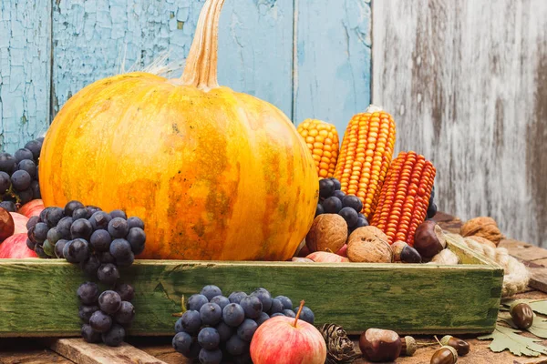 Ημέρα των Ευχαριστιών: Δίσκος διαφορετικών φρούτων και λαχανικών — Φωτογραφία Αρχείου
