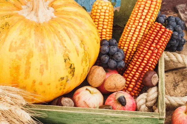 Ημέρα των Ευχαριστιών: Δίσκος διαφορετικών φρούτων και λαχανικών — Φωτογραφία Αρχείου