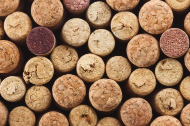 Arka plandan farklı şarap mantarlar