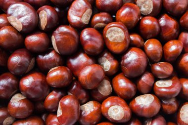 Kahverengi kestane tohumundan yapılmış arka plan