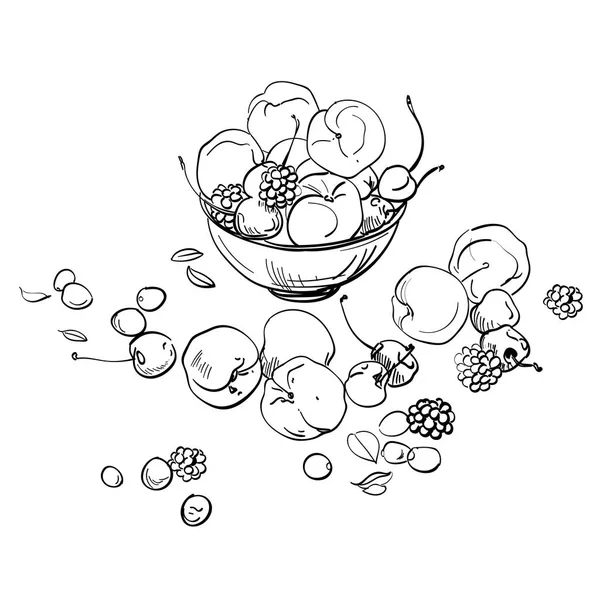 Φρέσκα φρούτα σε ένα μπολ, διάνυσμα — Διανυσματικό Αρχείο