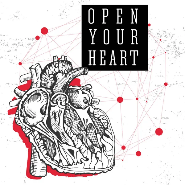 Human heart. Hand drawing vintage illustration — Stock Vector
