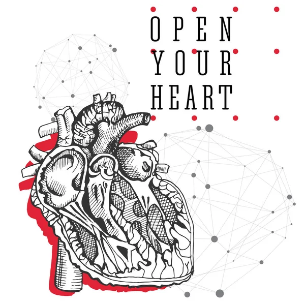 Human heart. Hand drawing vintage illustration — Stock Vector