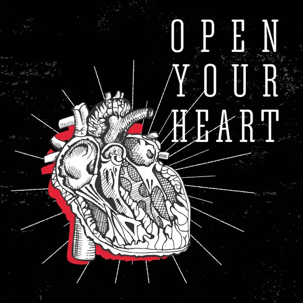 Le cœur humain. dessin à la main illustration vintage — Image vectorielle