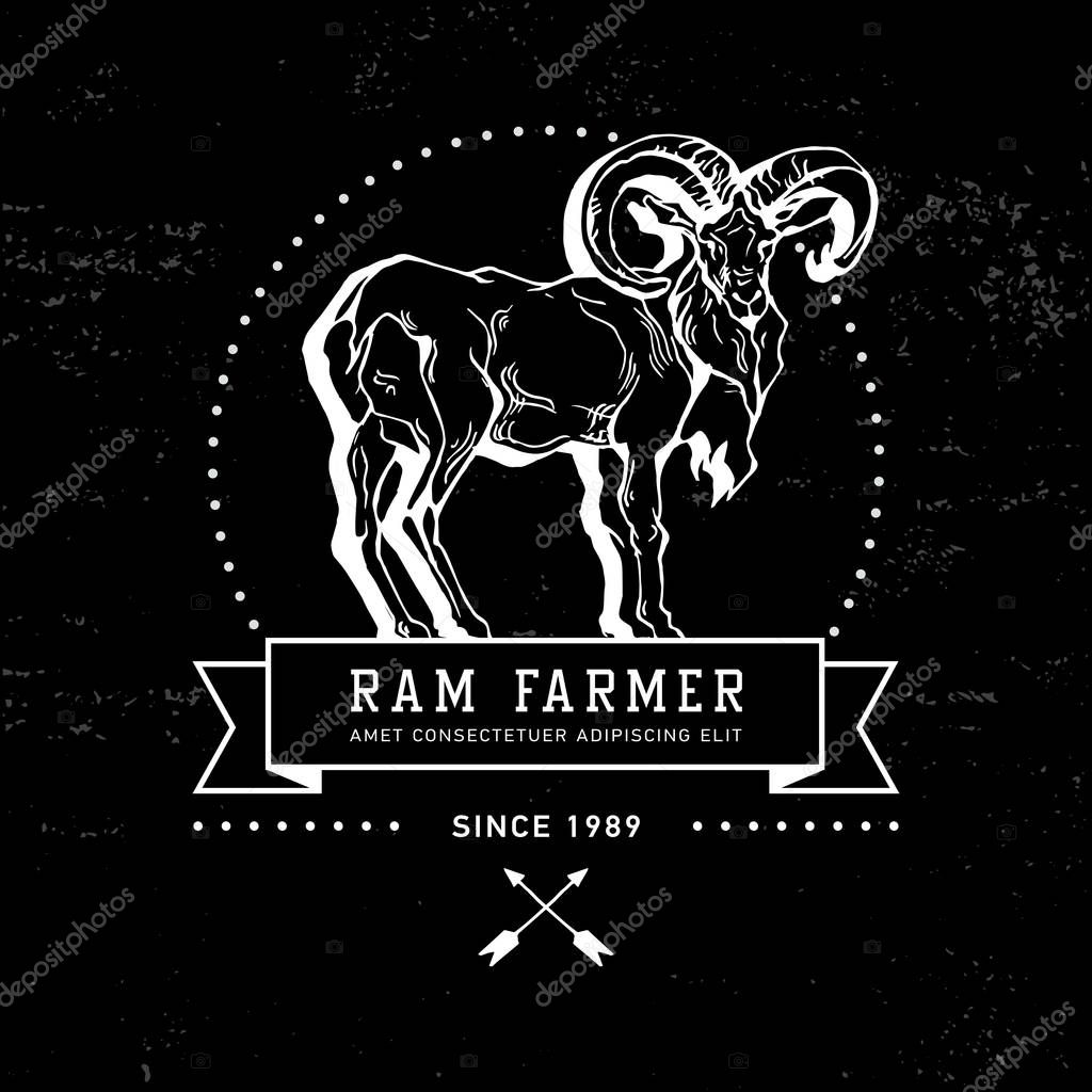 Vintage hand draw ram label. Vector element, badge, emblem, logo, insignia, sign, identity, logotype, poster. Stroke hipster illustration with typographic for t-shirt prints. Ram farmer hunting