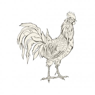 Etiket, rozet ve marka tasarımı. vektör çizim.