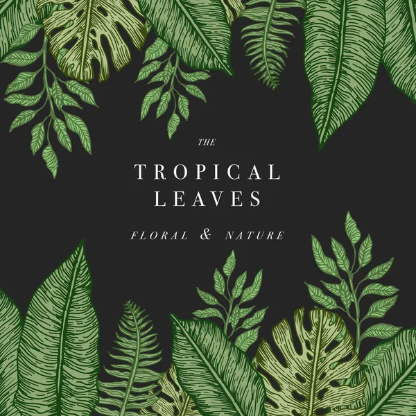 Tropische Palmenblätter. Dschungel-Design-Vorlage. Vektorillustration — Stockvektor