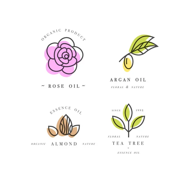 Vector set of packaging design templates and emblems in linear style - beauty and cosmetics oils - argan, rose, almond and tea tree — Stock Illustration Vector set of packaging design templates and emblems in linear style - beauty and cosmetics oils - argan, rose, almond and tea tree Vector Graphics