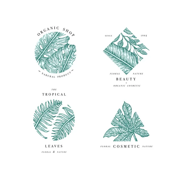 Einfache Logo-Kollektion. eingraviertes Logotypen-Set. tropischen Schönheitssalons Symbole. Vektorillustration — Stockvektor