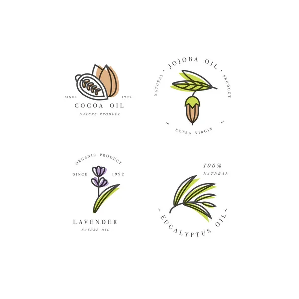 Conjunto vectorial de plantillas y emblemas de diseño de envases - aceites de belleza y cosméticos - cacao, lavanda, jojoba y eucalipto — Vector de stock