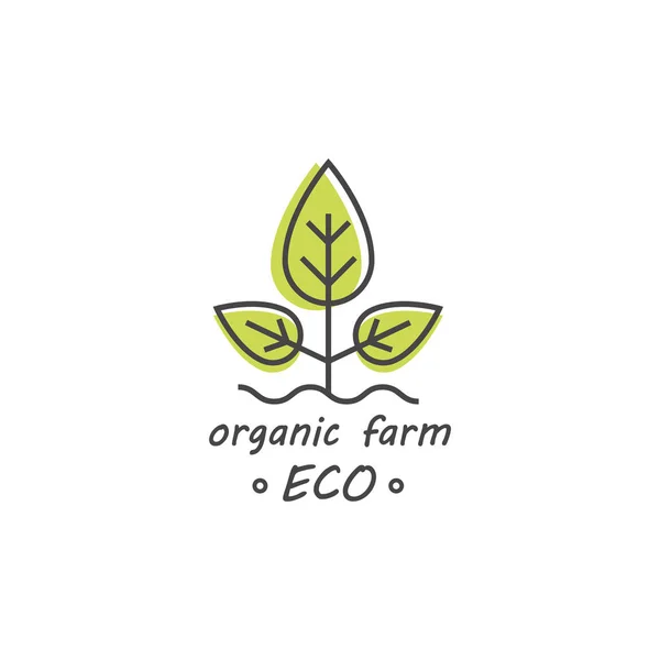 Etiqueta o insignia de productos verdes y ecológicos - iconos e ilustraciones relacionados con productos frescos — Vector de stock