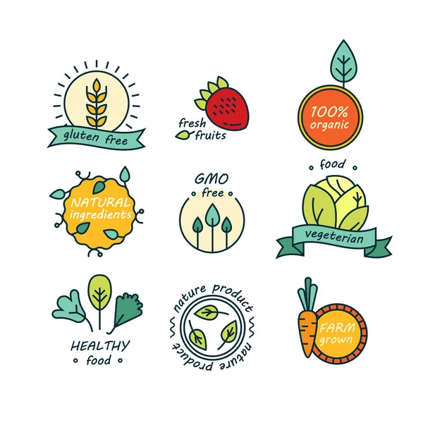 Conjunto vectorial de etiquetas e insignias de productos verdes y ecológicos - colección de diferentes iconos e ilustraciones relacionadas con alimentos frescos y saludables — Vector de stock