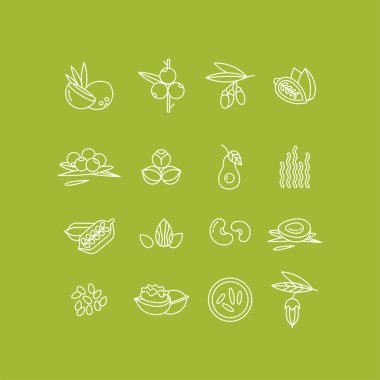 Superfoods çizgi vektör simgeler. Meyveler, fındık, sebze meyve ve tohumlar. Sağlık ve diyet için organik superfoods.