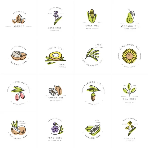 Plantillas y emblemas de diseño de conjuntos vectoriales: aceites saludables y cosméticos. Diferentes aceites naturales y orgánicos . — Vector de stock