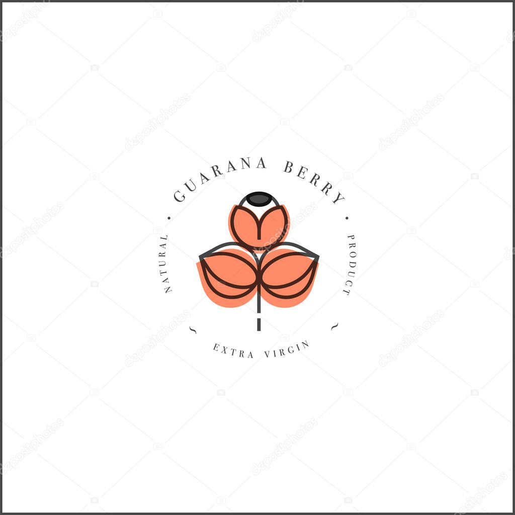 Vector design element and icon in linear style - guarana berry - healthy eco food. Organic ingredient. Detox and weightloss supplements. Logo sign