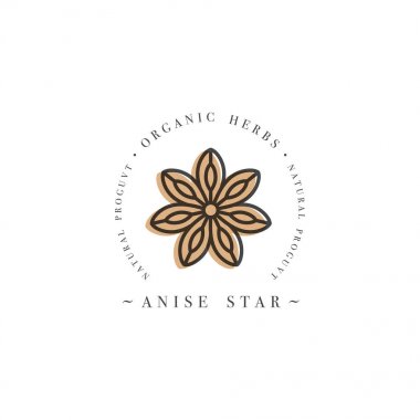 Ambalaj tasarım şablonu logo ve amblem - ot ve baharat - anason star. Trendy lineer tarzda logosu.