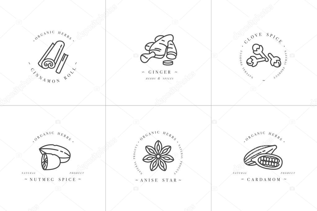 Vector set design monochrome templates logo and emblems - herbs and spices. Different spices icon for mulled wine. Logos in trendy linear style isolated on white background.