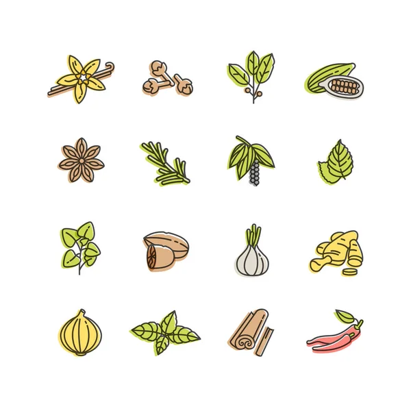 Vector set plantillas de diseño icono y emblemas - hierbas y especias. Signos de especias diferentes. Ilustraciones en estilo lineal de moda aisladas sobre fondo blanco . — Archivo Imágenes Vectoriales