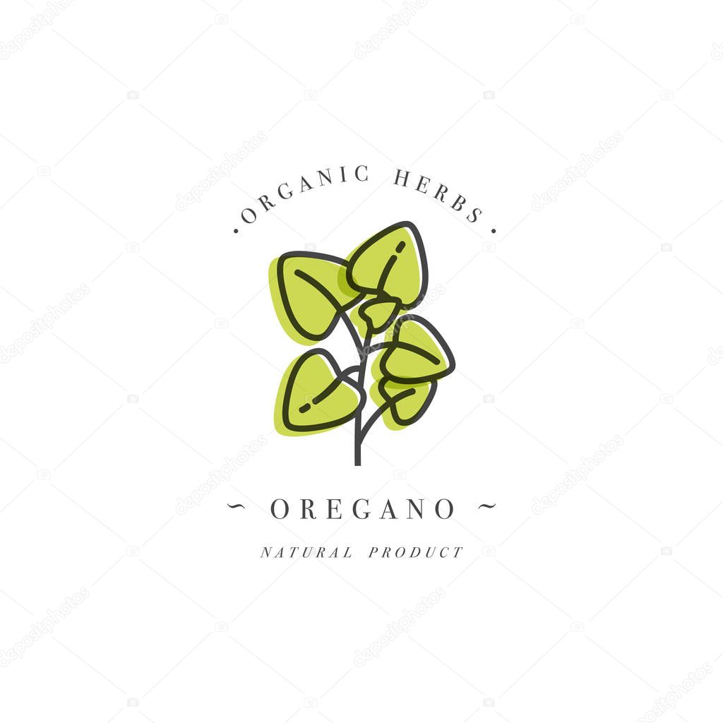 Packaging design template logo and emblem - herb and spice - oregano branch. Logo in trendy linear style
