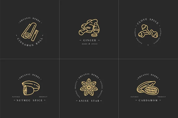 Vector set design golden templates logo and emblems - herbs and spices. Different spices icon for mulled wine. Logos in trendy linear style isolated on white background. — Stock Vector