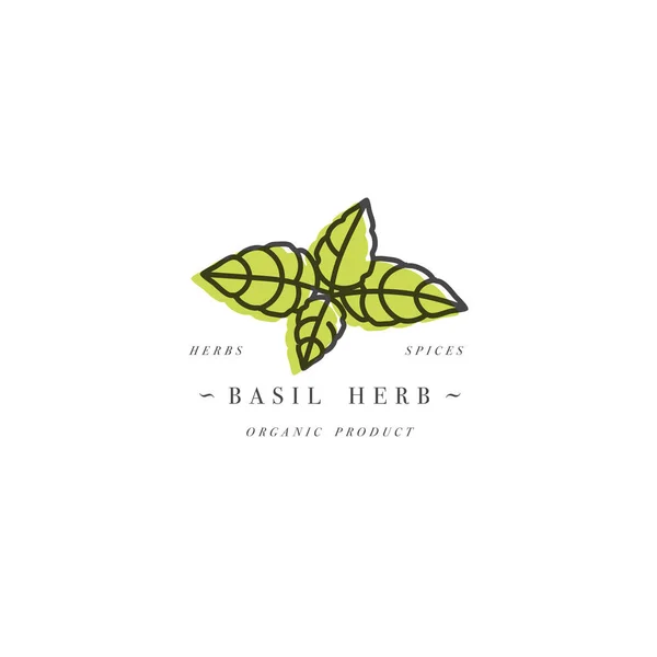 Modèle d'emballage logo et emblème - herbe et épices - branche de basilic. Logo dans un style linéaire tendance . — Image vectorielle