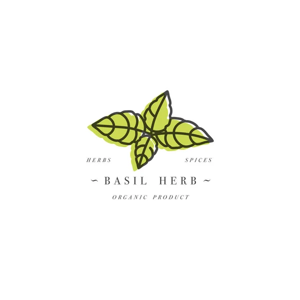Download Packaging Design Template Logo And Emblem Herb And Spice Basil Branch Logo In Trendy Linear Style Stock Images Page Everypixel