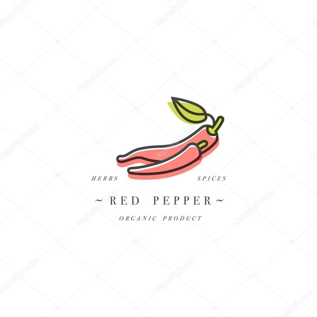 Packaging design template logo and emblem - herb and spice - red chili pepper. Logo in trendy linear style
