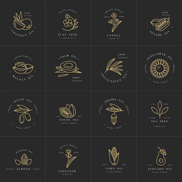 Modèles et emblèmes de décors vectoriels - huiles saines et cosmétiques. Différentes huiles naturelles biologiques . — Image vectorielle