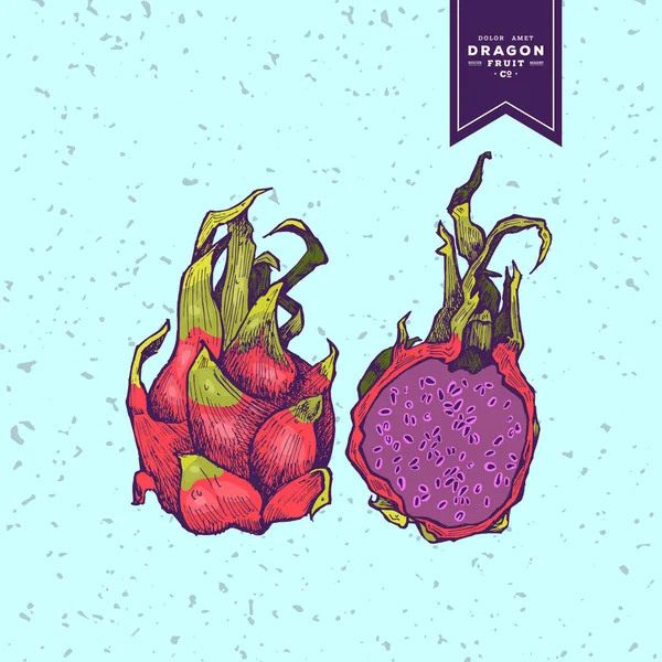 Deliciosas frutas vectoriales exóticas dibujadas a mano — Archivo Imágenes Vectoriales