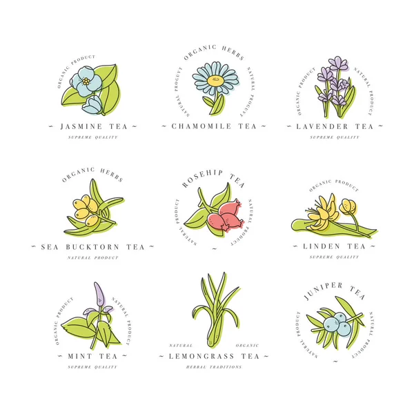 Διάνυσμα που σχεδιασμό πολύχρωμα πρότυπα λογότυπο και εμβλήματα - βιολογικά βότανα και τσάι. Διαφορετικό εικονίδιο τσαγιού. Λογότυπα σε μοντέρνο γραμμικό στυλ που απομονώνονται σε λευκό φόντο. — Διανυσματικό Αρχείο