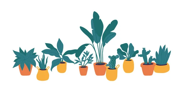 Plantas de ilustración vectorial en la colección de macetas. Decoración casera de moda con plantas, cactus, hojas tropicales. Paquete de plantas en maceta de moda . — Vector de stock