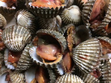 Buğulanmış beyazlatılmış istiridye arka plan.