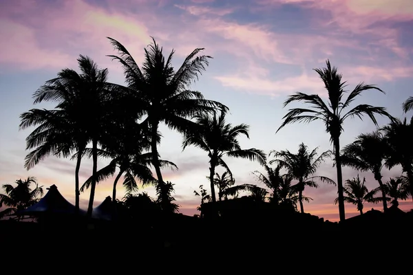 Hermosa vista de silueta en el cielo dramático atardecer Fondo . —  Fotos de Stock