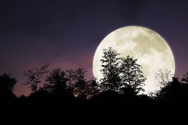 Dramática y hermosa luna grande en el cielo nocturno . —  Fotos de Stock