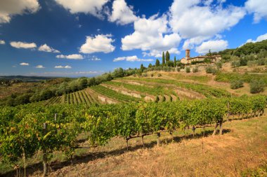 Sonbahar, Tuscany manzarada bağ, 