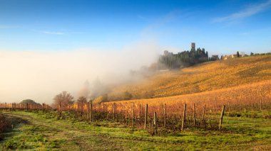 Chianti vineyard landscape in autumn with fog , Abbey of Passign clipart