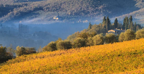 Τοπίο αμπελώνα Chianti στο φθινόπωρο, Τοσκάνη, Ιταλία — Φωτογραφία Αρχείου