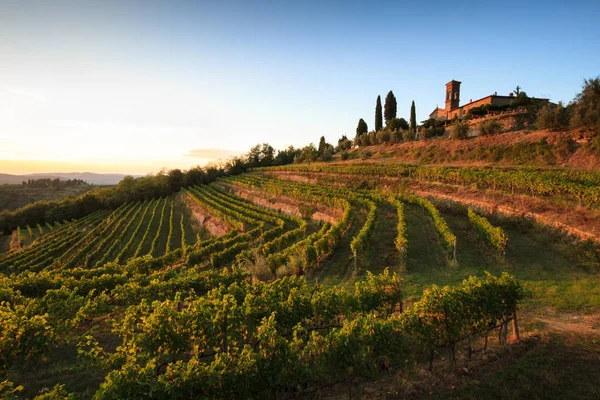 Chianti Vineyard paisagem com videiras e igreja no outono, Tusc — Fotografia de Stock