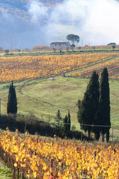 Chianti wijngaard landschap in de herfst, Toscane, Italië — Stockfoto