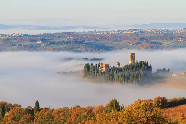 Τοπίο αμπελώνα Αβαείο του Πασινιάνο και της Τοσκάνης το φθινόπωρο με ομίχλη — Φωτογραφία Αρχείου