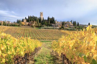 Tuscan sarmaşıklar arasında renkli ve parlak yol sonbaharda manzara