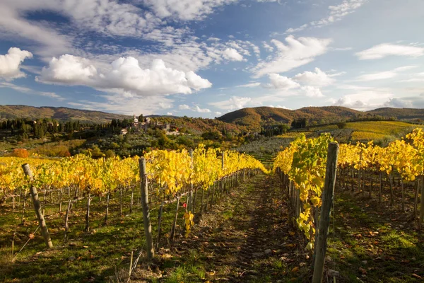 Colorful Bright Path Vines Tuscan Landscape Fall — Stock Photo, Image